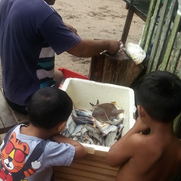 Em meio as tribulações e problemas, Deus tem providenciado a provisão em Tatuteua/PA. Há peixe no arraial! Glória a Deus por sua fidelidade, sempre.